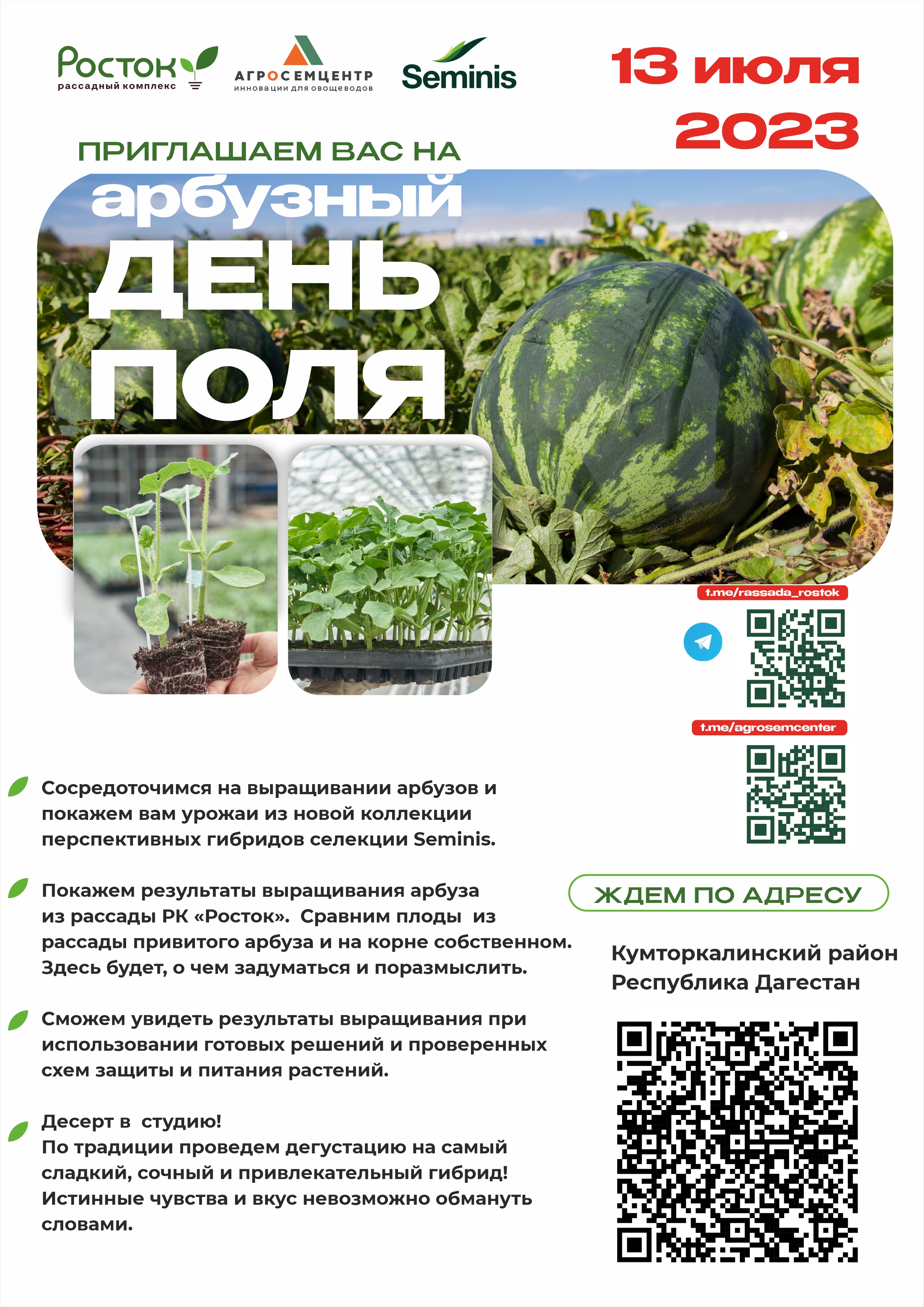 День поля арбуз_02.jpg
